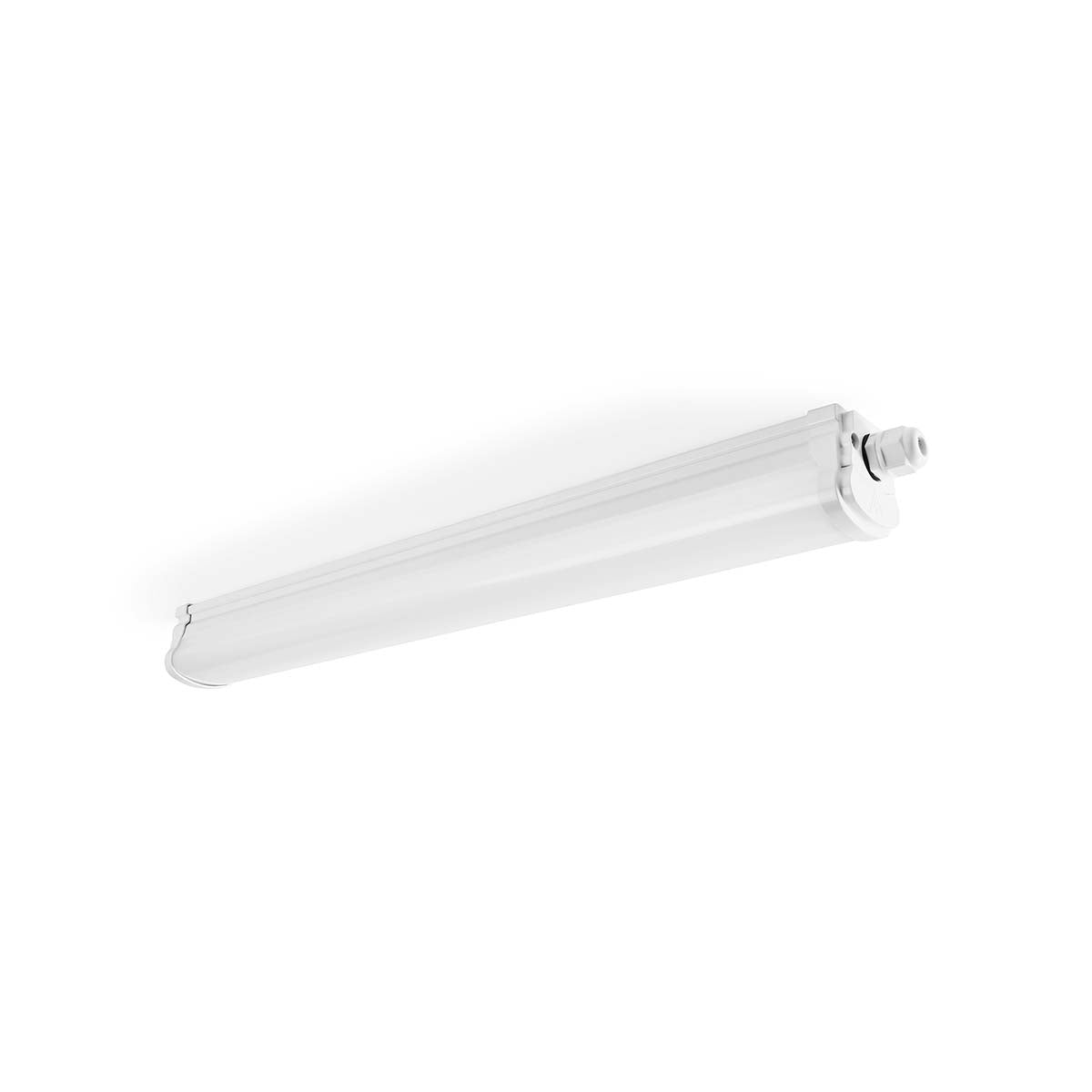 980408|BTTNT8-12W60