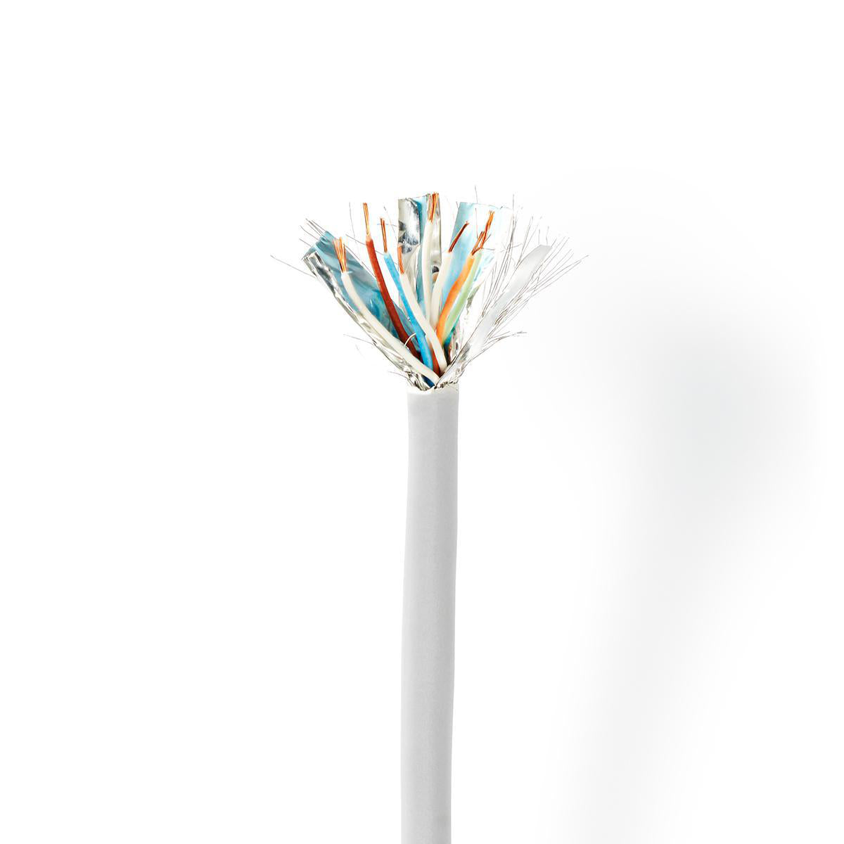916656|CCBGSFTP5GY100