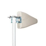 946767|ANOR5G10WT