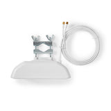 946561|ANOR5G20WT