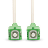 1438259|CCGB89600WT20