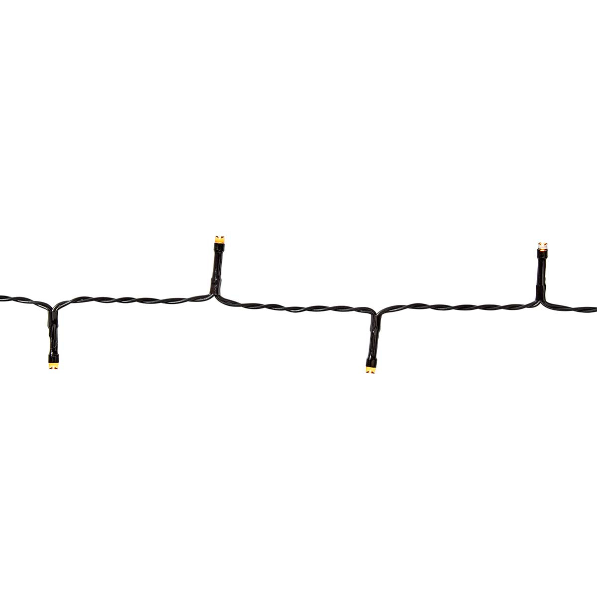 996147|CLBO48