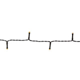 996147|CLBO48