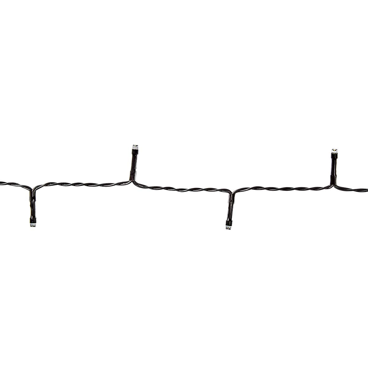 996148|CLBO48