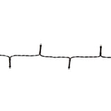 996148|CLBO48