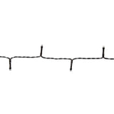 996148|CLBO48