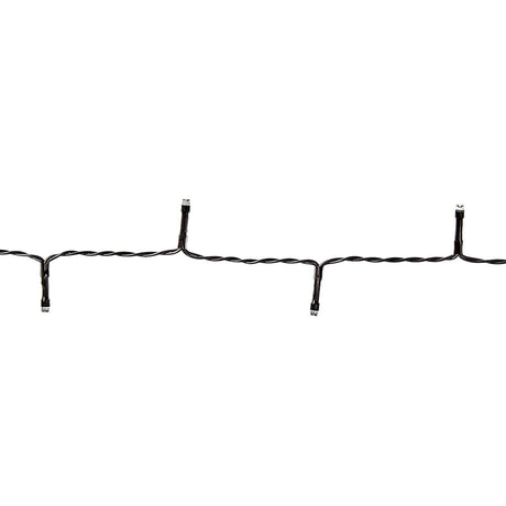 996148|CLBO48