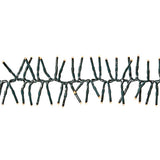 998344|CLCS768