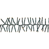 998344|CLCS768