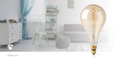 977529|LEDBTFE27A160