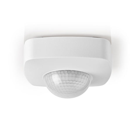 926246|PIRPO32WT