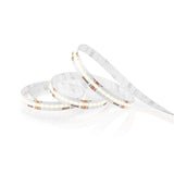 1002633|WIFILSC20CRGB