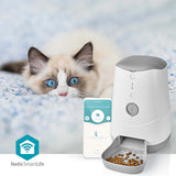 953621|WIFIPET10CWT