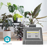 960890|WIFIWP10GY