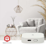 953605|WIFIZB10WT