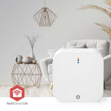 1005846|WIFIZBT10CWT