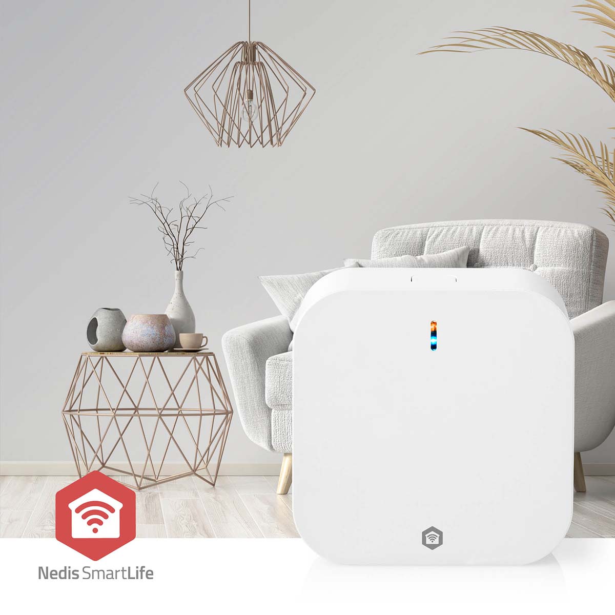 1005846|WIFIZBT10CWT