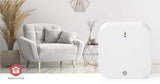 1005836|WIFIZBT10CWT