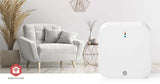 1005836|WIFIZBT10CWT