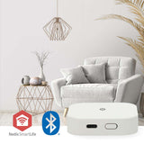 1446258|WIFIZBT10WT