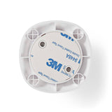 987240|ZBDS10WT