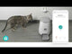 961053|WIFIPET10CWT