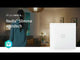 968589|WIFIWS10WT