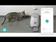 961055|WIFIPET10CWT